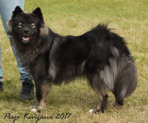 20232186_10211989006653484_864184079019128418_o