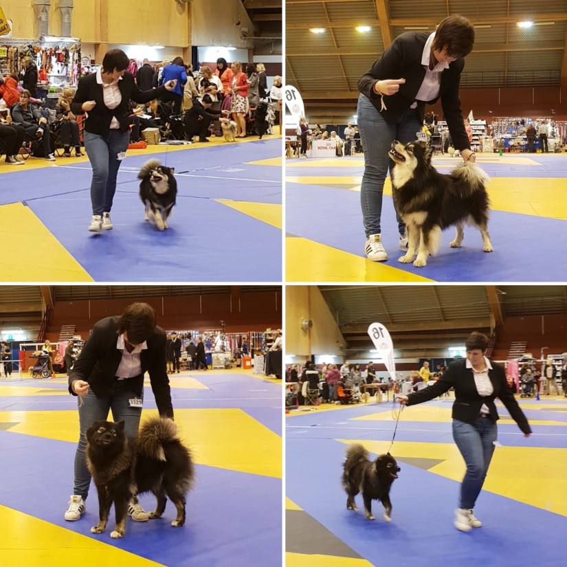 989CA75C-B16E-48CD-BA28-61FA6D245E04