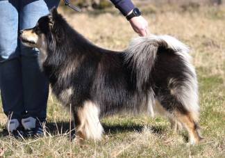 57750820_2251049405134362_5293535690397581312_n