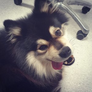 76907113_2416242935281674_5178541059193438208_o